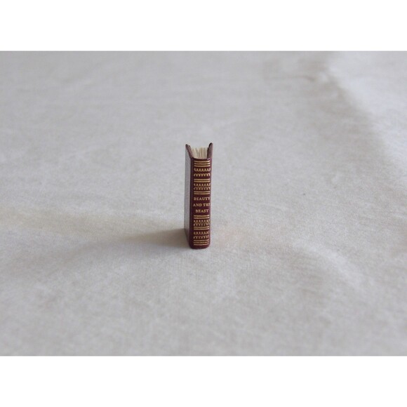 Dollhouse Miniature Book Beauty And The Beast #170? Of 300 Barbara Raheb - Picture 4 of 14